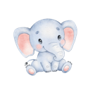 Daxiang Cheap VPN, 巨象便宜VPN