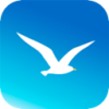 海鸥便宜VPN